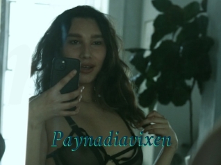 Paynadiavixen