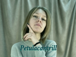 petulacantrill Maxi Top Sexe