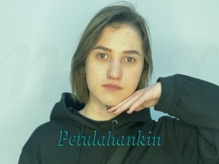 Petulahankin