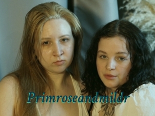 primroseandmildr Maxi Top Sexe