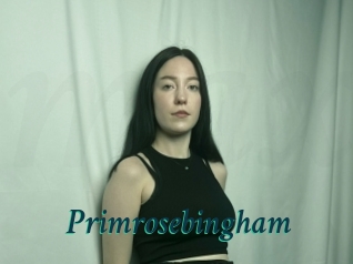 Primrosebingham