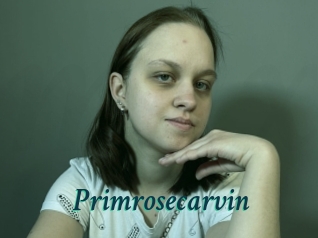 Primrosecarvin
