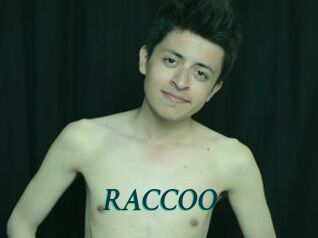 RACCOO