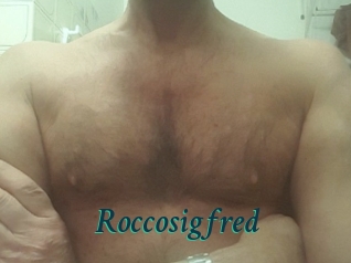 Roccosigfred