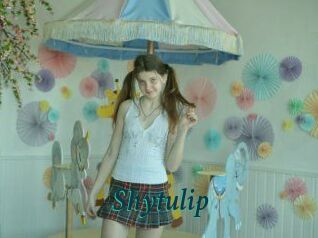 Shytulip