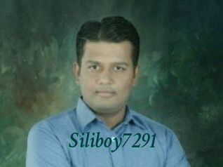 Siliboy7291