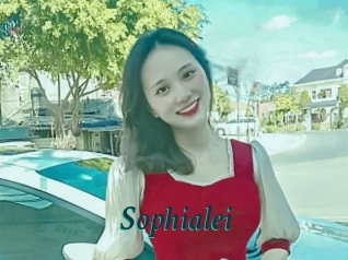 sophialei Maxi Top Sexe