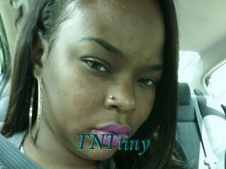 T_N_Ttiny