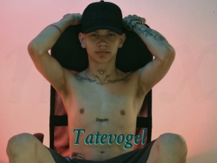 Tatevogel