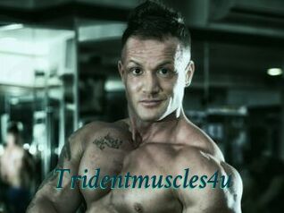 Tridentmuscles4u