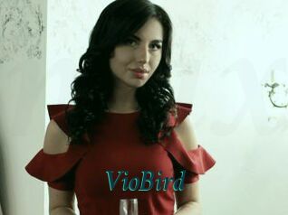 VioBird