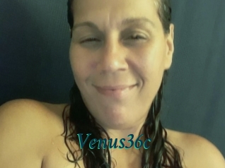 Venus36c