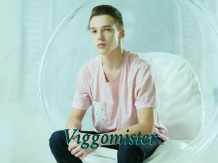Viggomister