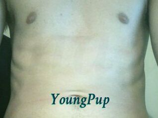 YoungPup