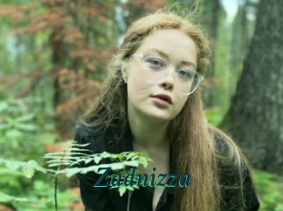 Zadnizza
